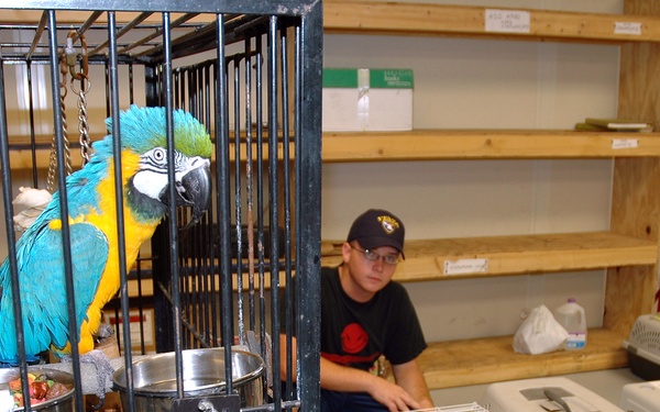 A birds-eye view of pet care