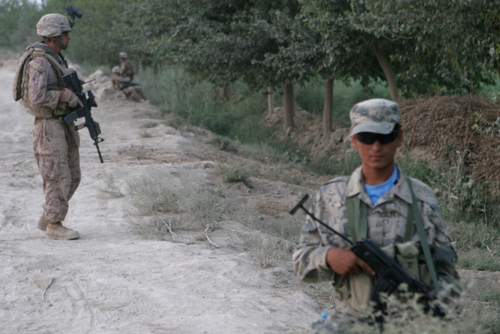 Patrol through Helmand province