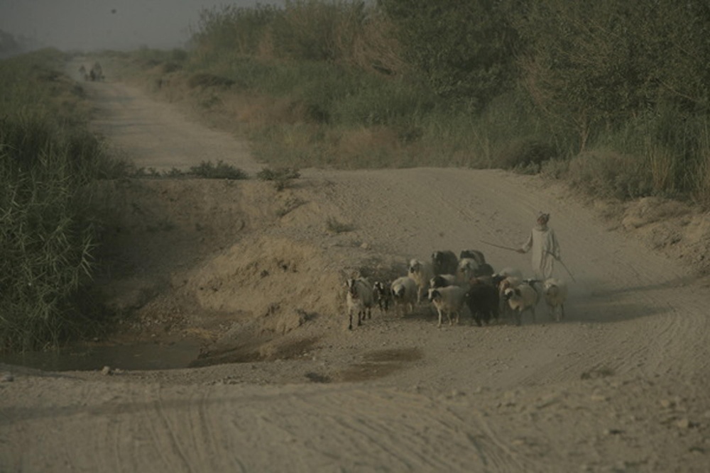 Combat Operations in Helmand Province