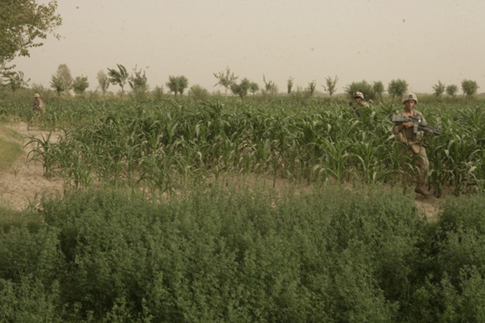 Combat Operations in Helmand Province