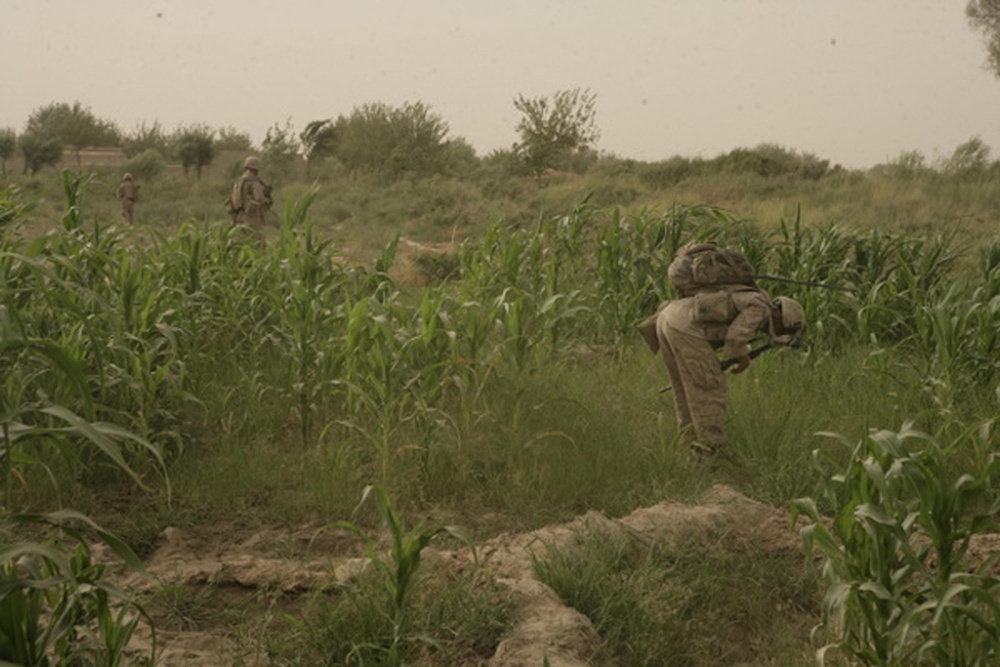 Combat Operations in Helmand Province