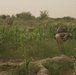 Combat Operations in Helmand Province