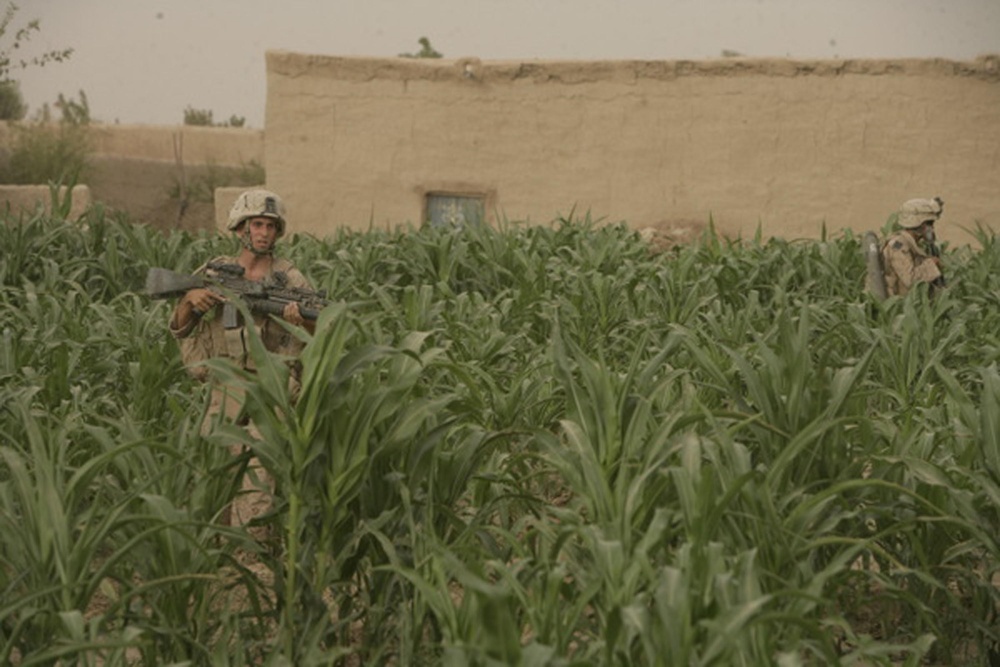 Combat Operations in Helmand Province