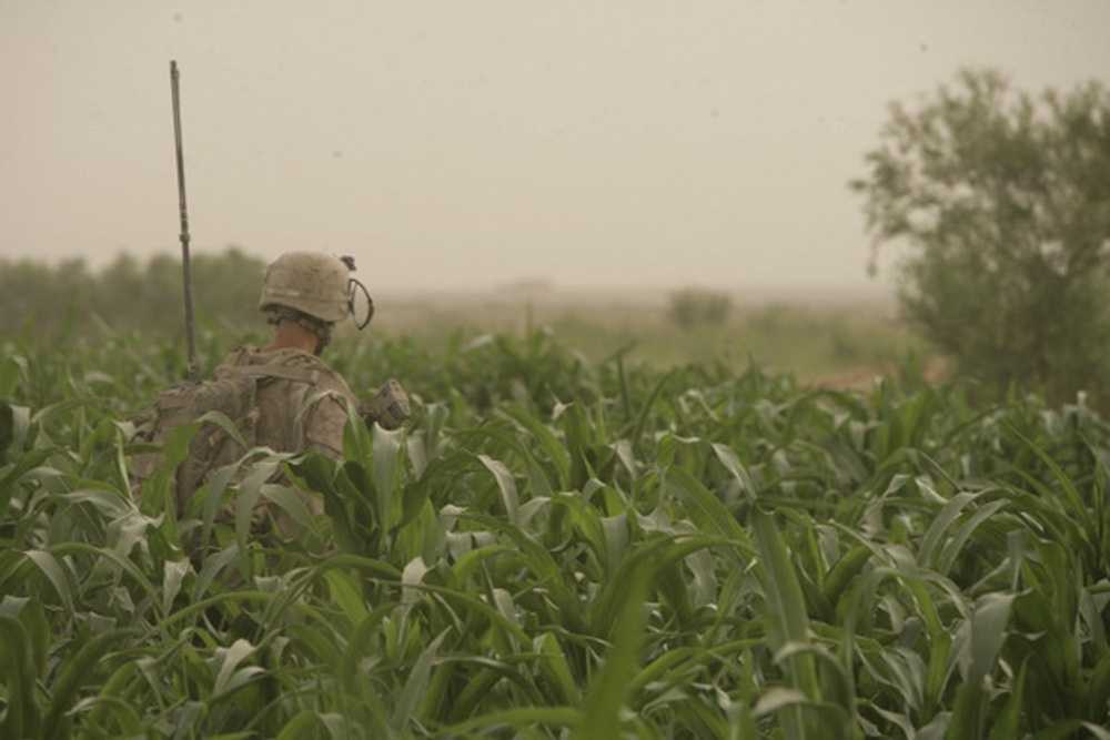 Combat Operations in Helmand Province