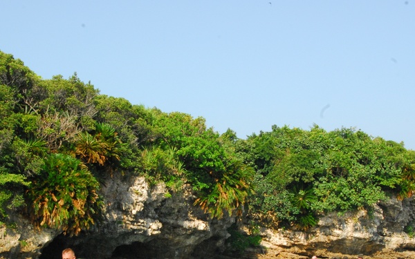 Students on Okinawa Learn Skills in Coxswain Course2