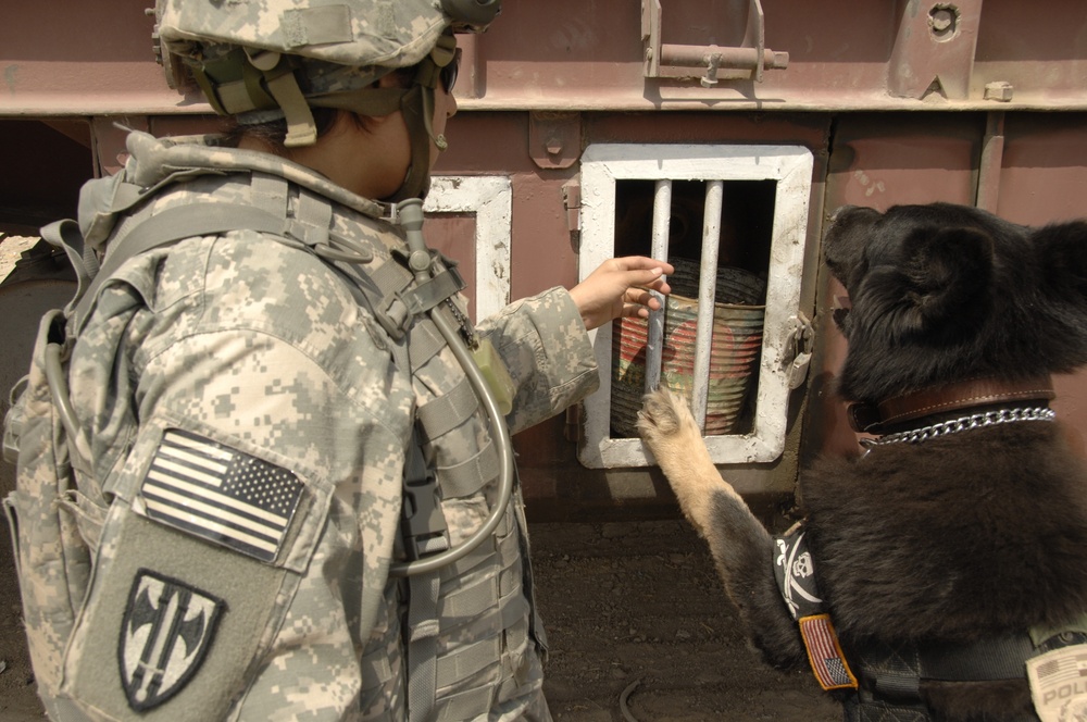 Soldiers Conduct Combined Clearing Operation