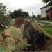 Hurricane Gustav damage assessment