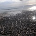 Sailors Help With Disaster Relief Continuing Promise 08