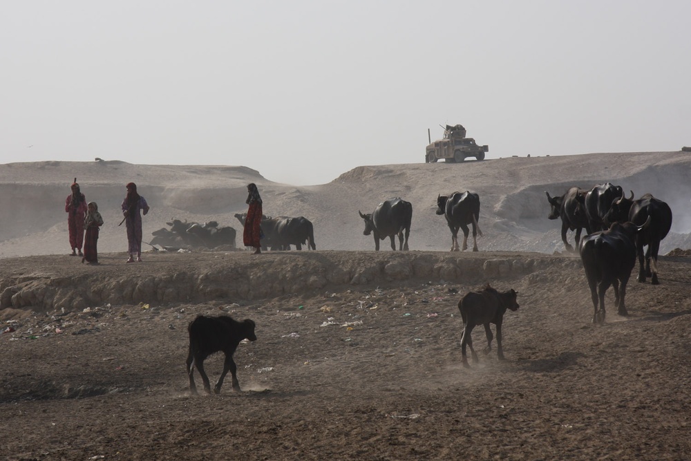 'Bayonet' Soldiers help Fedaliyah farmers feed water buffalo