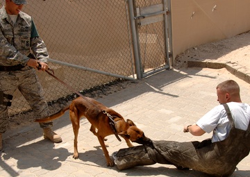 Her Bits Is Worse Then the Bark...