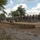 56th IBCT Trains at Fort Stewart 56th IBCT Trains at Fort Stewart
