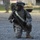 56th IBCT Trains at Fort Stewart 56th IBCT Trains at Fort Stewart