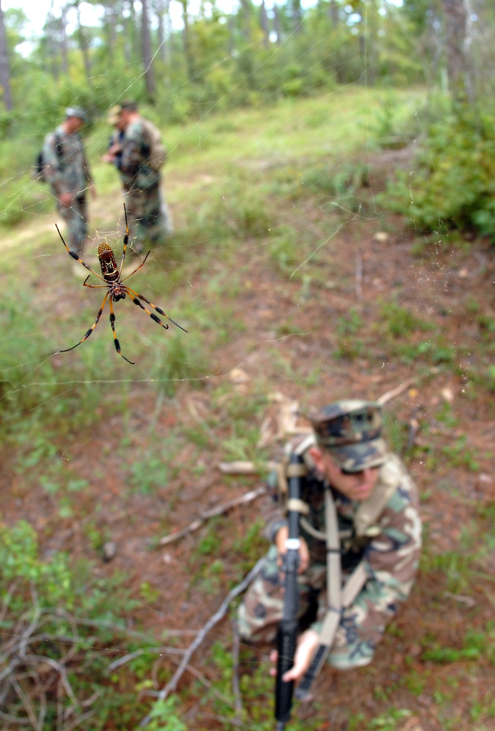 Naval Mobile Construction Battalion 1 Sailors participate in chiefs and officers field exercise