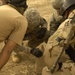 Iraqi and U.S. EOD Teams Conduct UXO Sweep