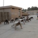 U.S. Soldiers train the trainer with Iraqi Border Patrol