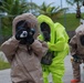 Island response teams 'leapfrog' a simulated chemical attack