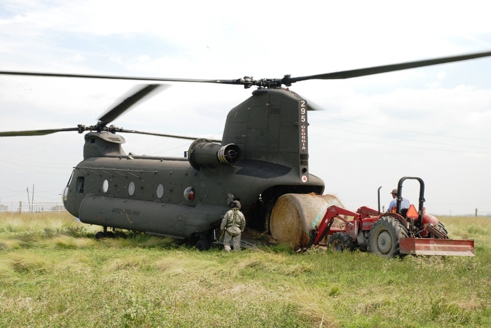 National Guard Aids Stranded Livestock in Louisiana