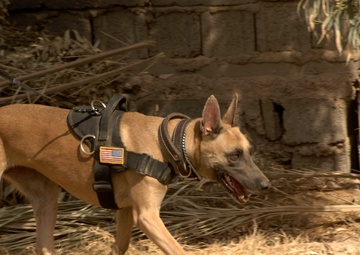 Baghdad Business Development Seminar