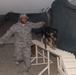 Dogs Do Great Things for Mission, Morale
