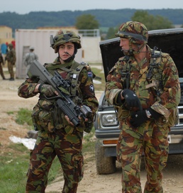 Cordon and Search