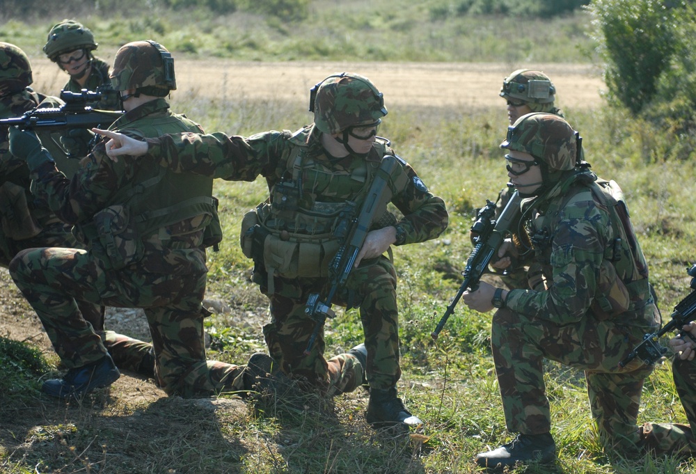 New Zealand Live Fire