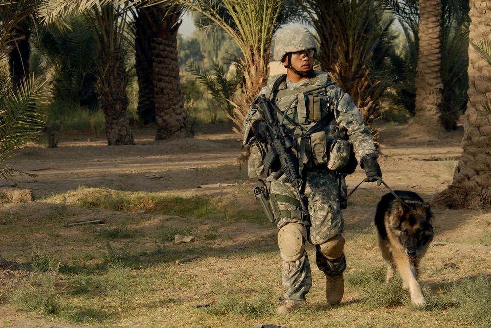 DVIDS Images U.S. Airmen, Military Dogs Patrol Streets [Image 4 of 5]