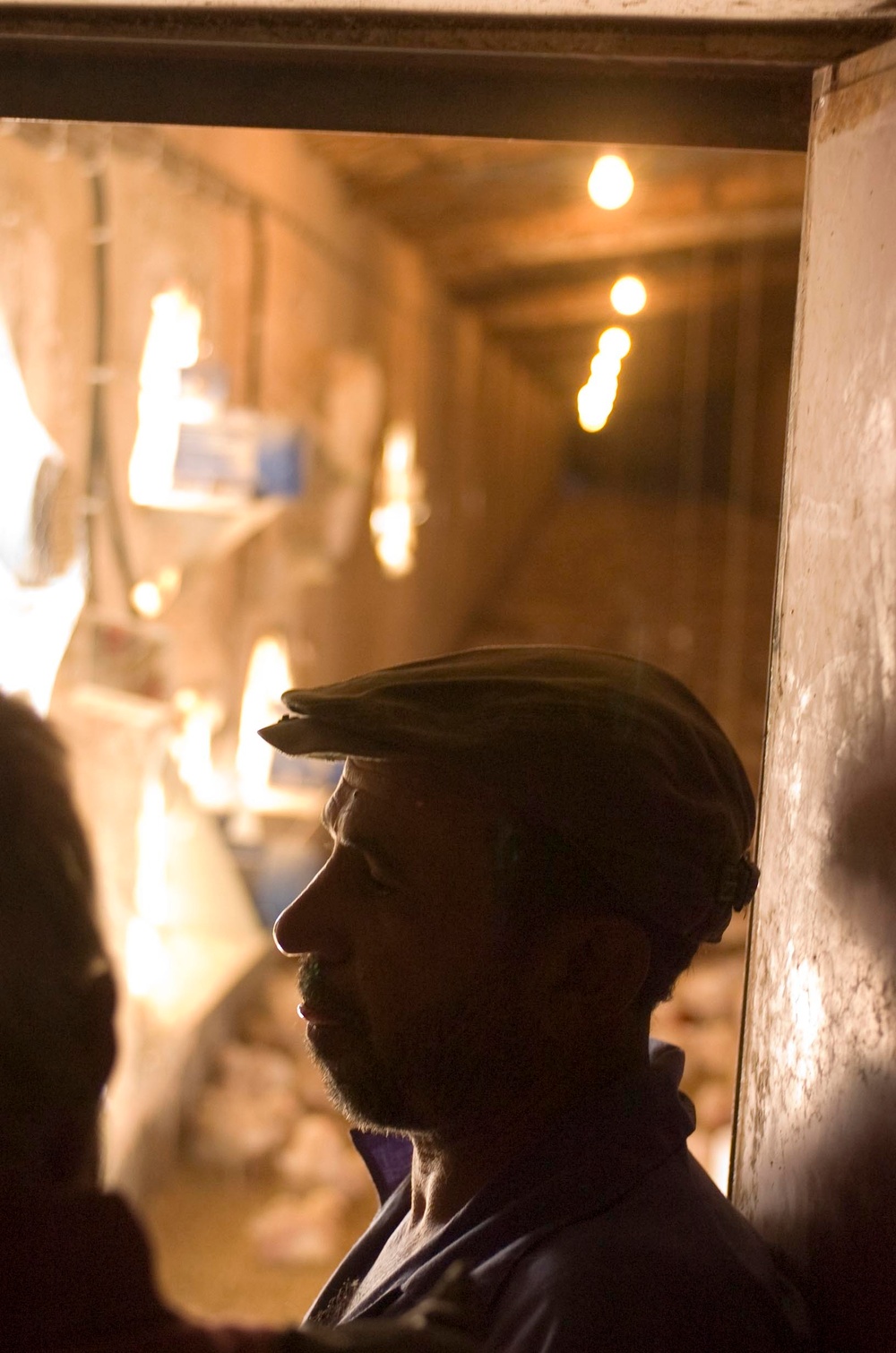 Borlaug celebrates diversity, farm style with Wasit governor