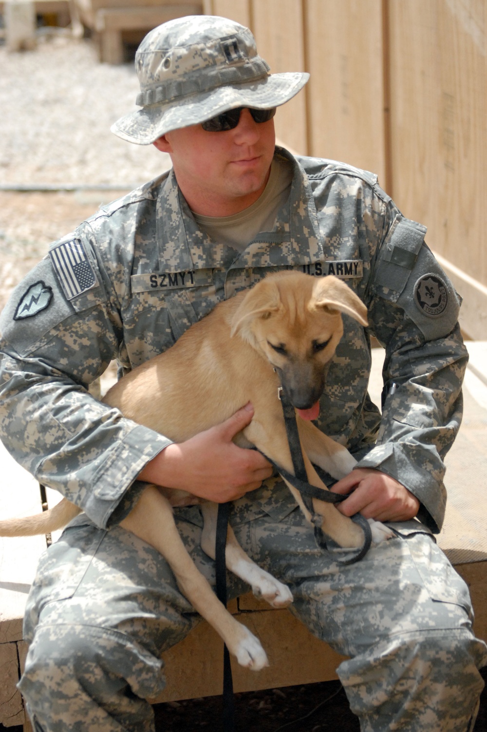 Man's best friend Kindi