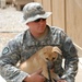 Man's best friend Kindi