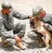 Man's best friend Kindi