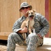 Man's best friend Kindi