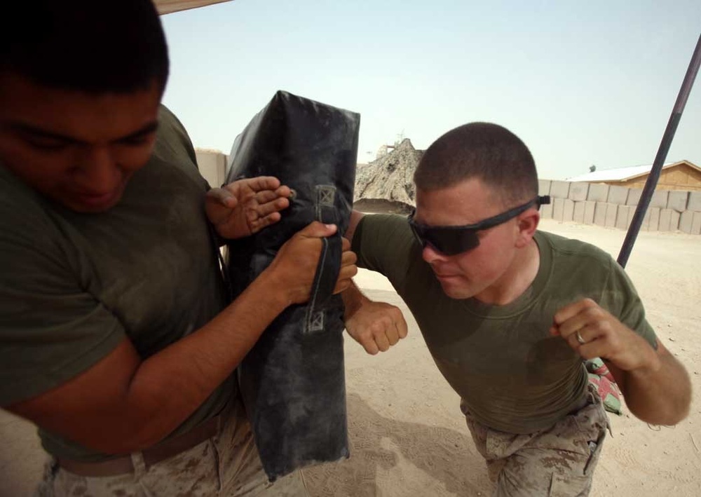 Marine Unmanned Vehicle Squadron 2 taps out martial arts: 103 Marines advance belt level