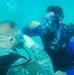 Underwater Pinning
