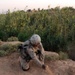 Gimlets disrupt weapons supply, flow