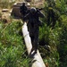 Gimlets disrupt weapons supply, flow