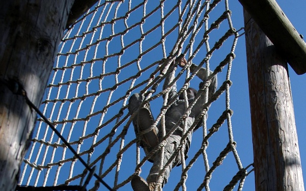 Indiana University ROTC Training