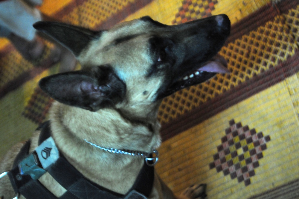 Joint Cordon and Knock in Sadr City