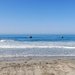 training exercise at Naval Amphibious Base Coronado