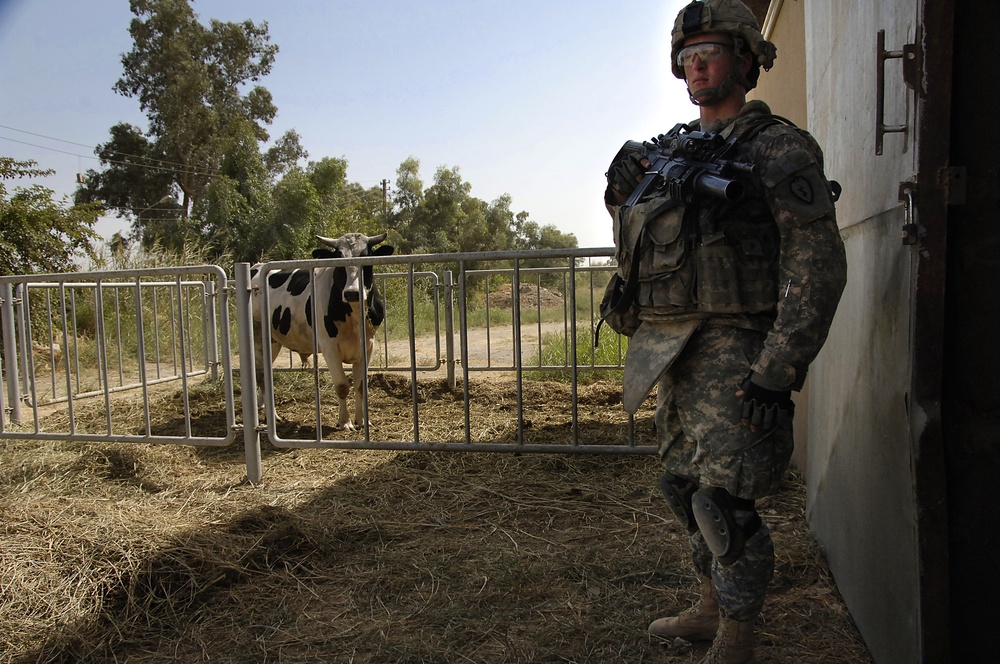 Abu Ghraib Power Plant Sub-Station Tour