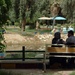 Life at Baghdad Zoo returning to normal with stable security