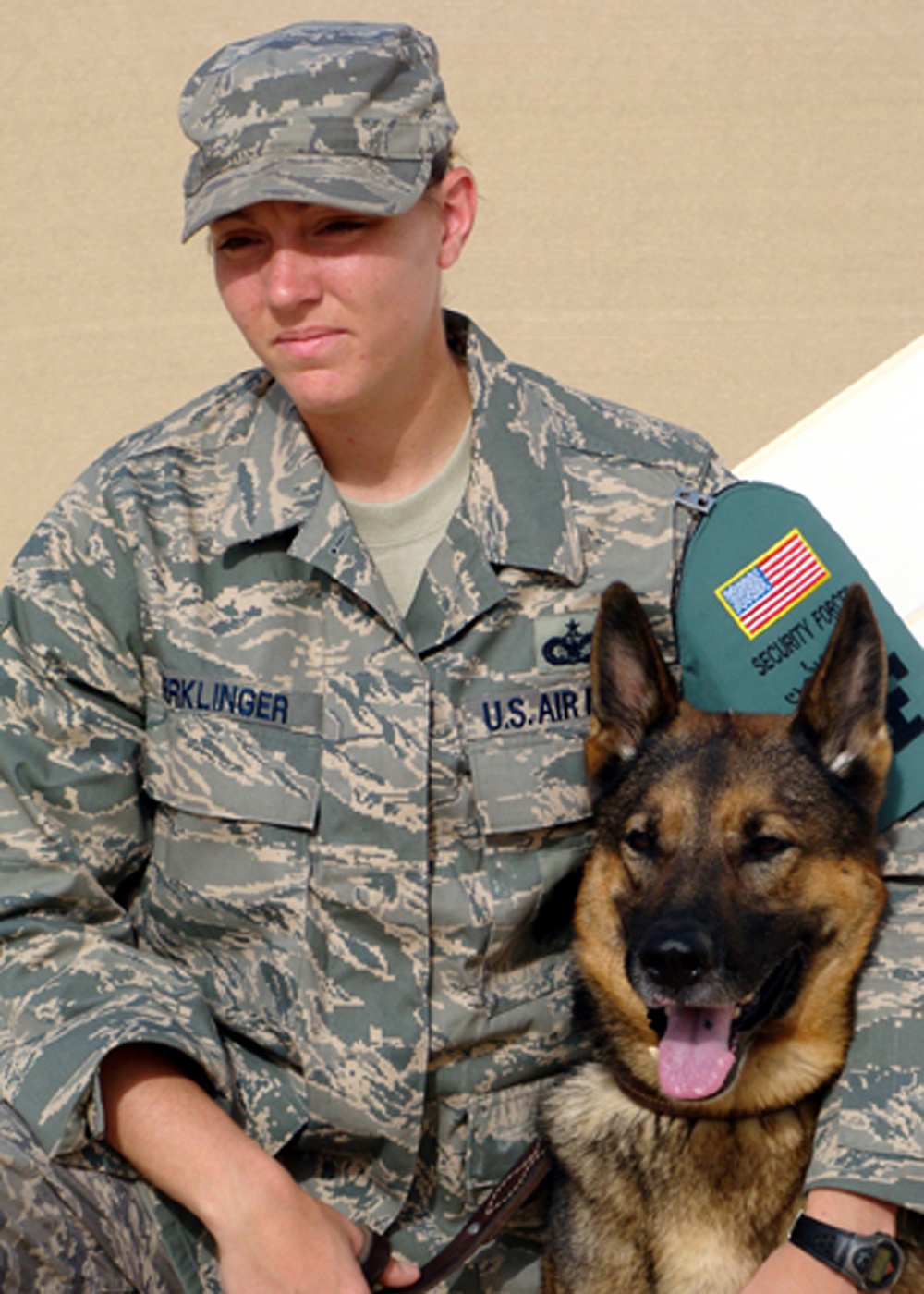 DVIDS - Images - Military Work Dogs Require Special Care [Image 2 of 11]