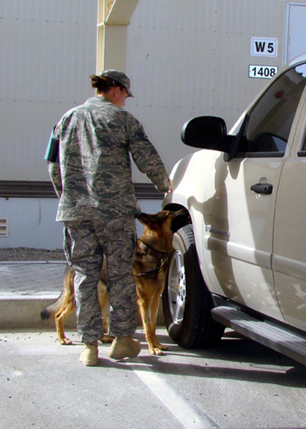 Military Work Dogs Require Special Care