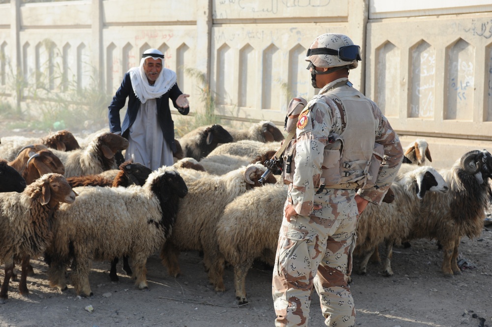 Iraqi army builds guard towers