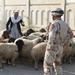 Iraqi army builds guard towers