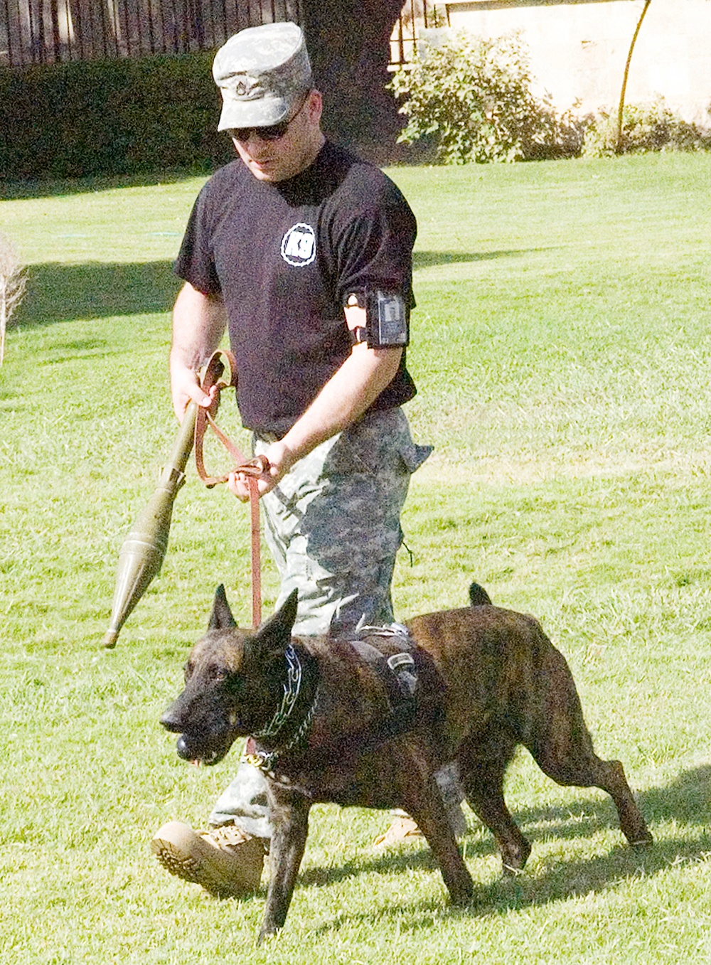 Dog Teams Keep International Zone Safe