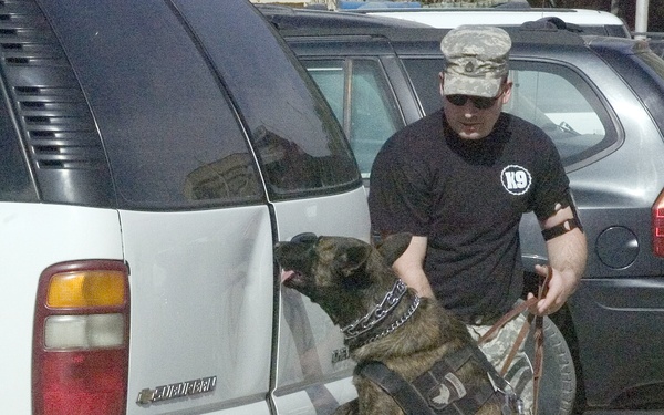 Dog Teams Keep International Zone Safe