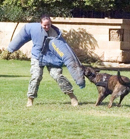 Dog Teams Keep International Zone Safe