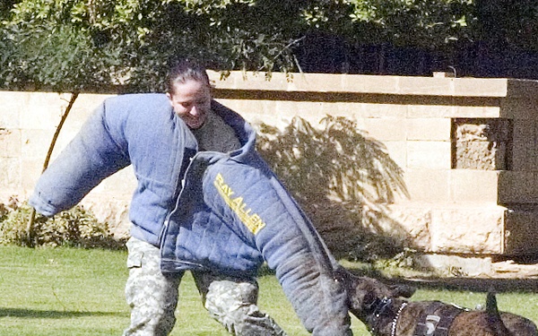 Dog Teams Keep International Zone Safe