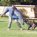 Dog Teams Keep International Zone Safe