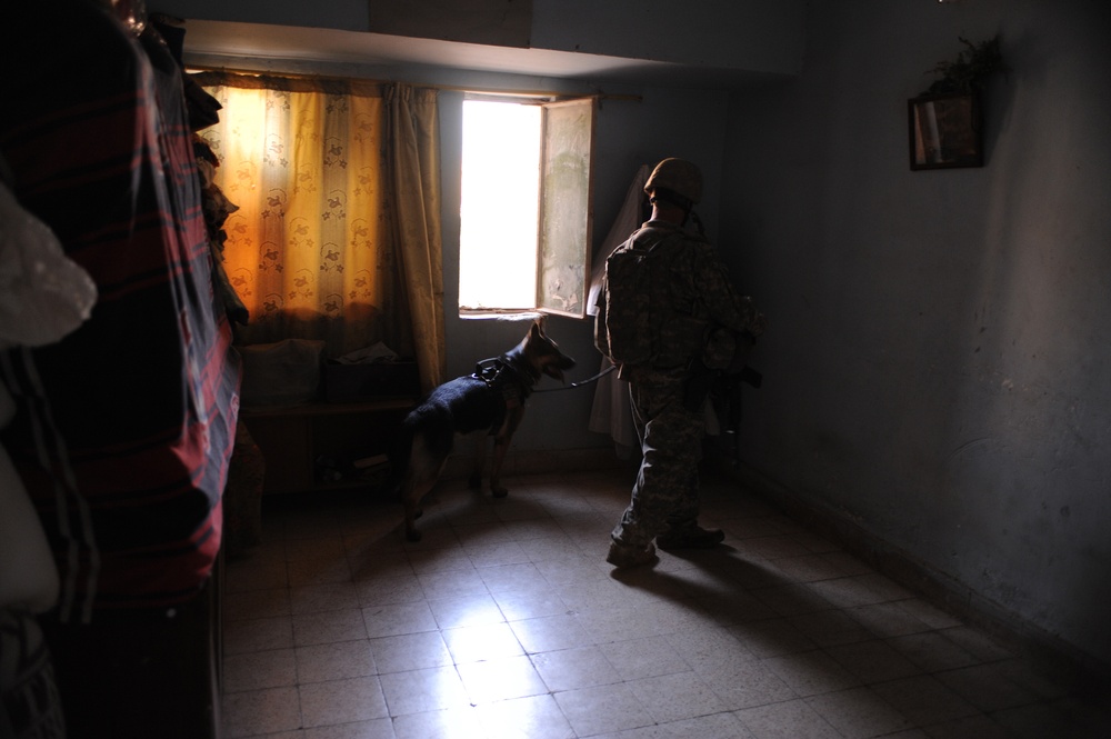 Joint patrol Iraqi army and U.S Army in Abu Ghraib Iraq